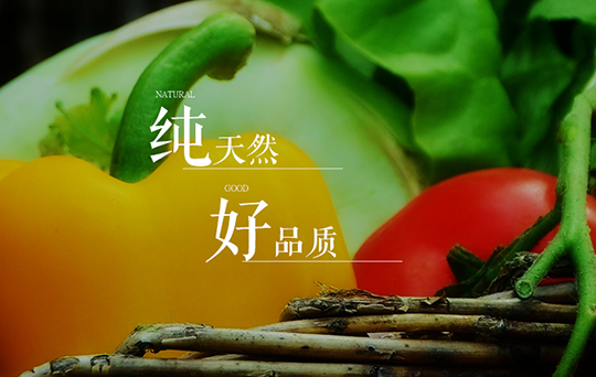 綠農農產品-合肥網站建設